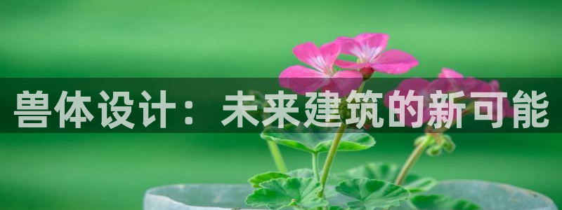 和力记易官网