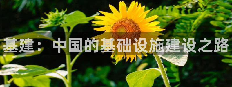 香港3和记官网