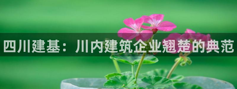 和记国际电讯官网